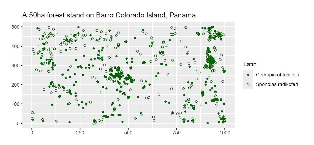 A 50ha forest stand on Barro Colorado Island, Panama: a spatial point plot of two tree species, Cecropia obtusifolia and Spondias radlkoferi, showing clustered, directional patterns across the plot.